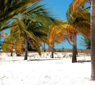 Jednodniowa wycieczka Cayo Largo 