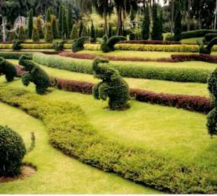 Nong Nooch Tropical Garden