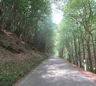  Wanderweg Helmbachweiher - Hornesselwiese