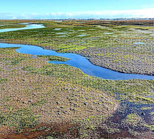 Parque Natural da Ria Formosa