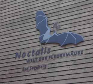 Das Museum nebenan