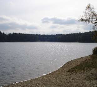 Forstsee
