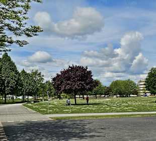 Wileypark