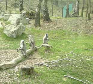 Zoo Ostrava