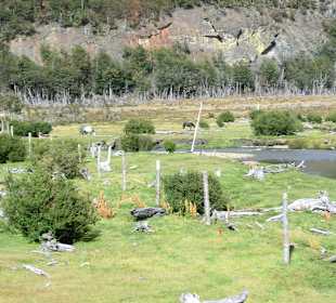 Natur pur in Patagonien