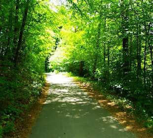 Wanderung zum Bärenfels