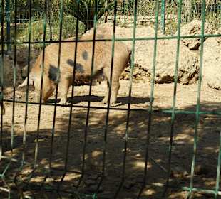 Zoo Manavgat