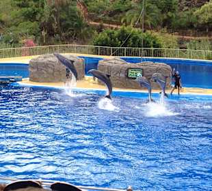 Ruhiger und erholsamer Familienurlaub