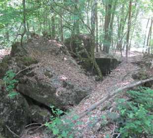 Westwallweg Oberotterbach