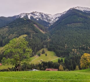 Ausblick