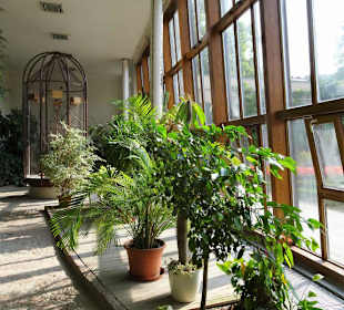 Rundgang durch die Orangerie des Schlosses