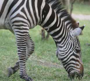 Tansania Ende September