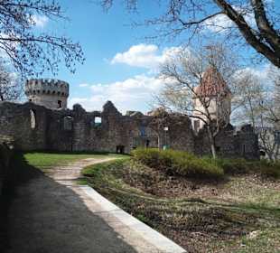 Burg Ruine Honberg in Tuttlingen