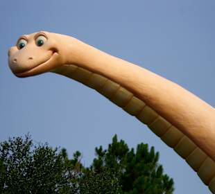 Disney's Animal Kingdom