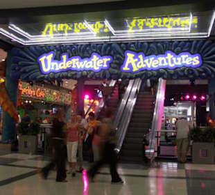 Mall of America - Aquarium