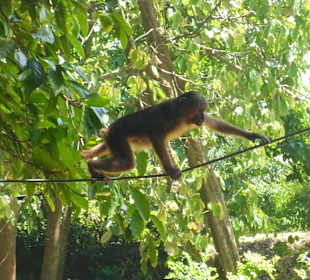 Nette Entdeckungen unterwegs (vor Phung Chang Cave