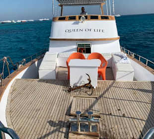 Schnorchel-Bootstouren mit dem Queen of Life Boot 