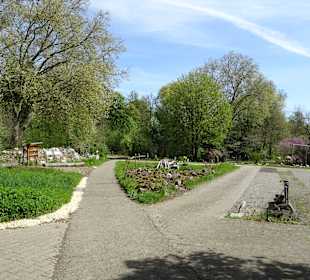 Garten Hohenheim
