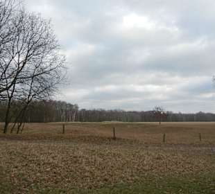 Naturschutzgebiet Boberger Niederung