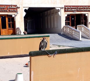Falcon Souq
