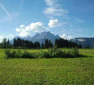 Wilder Kaiser