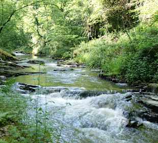 Wandern Bad Bertrich