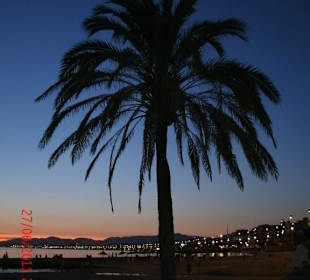 Playa de Palma
