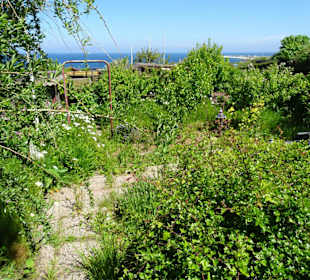 Rundgang durch die Schrebergarten-Kolonie
