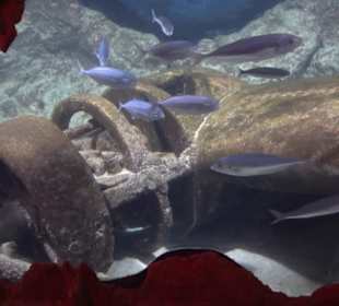 National Aquarium Malta