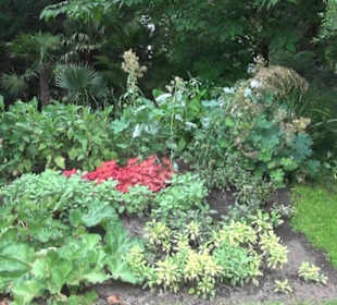 Ehemaliges Palmenhaus