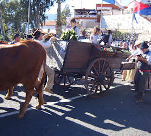 Lichterfest im Dezember