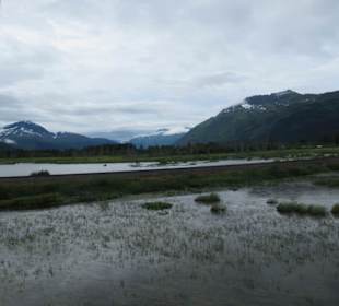 Erste Gletscher kommen in Sicht