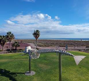 Playa del Matorral Morro Jable