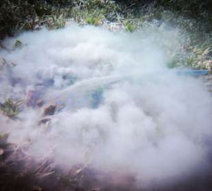 Schnorcheln Soma Bay