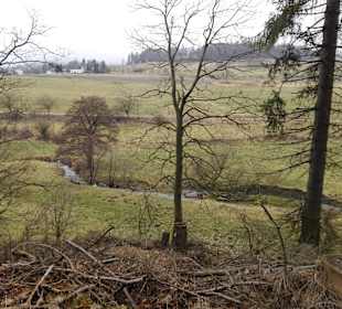 Auf dem Wanderweg zum Tretbecken