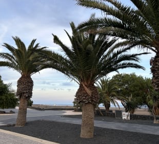 Strandpromenade Puerto del Carmen