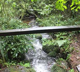 ..nicht immer ungefährlich...