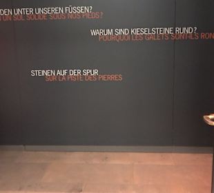 Staatliches Naturkunde Museum