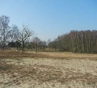 Wunderschöne Boberger Niederung