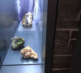 Museum Natur und Mensch