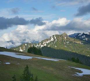 Hurricane Ridge, Olympic Nationalpark