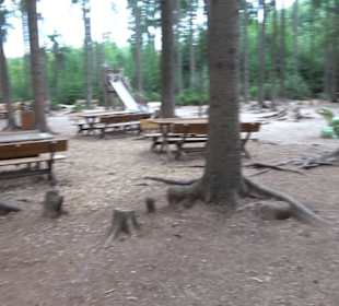 Dinosaurier Museum Altmühltal