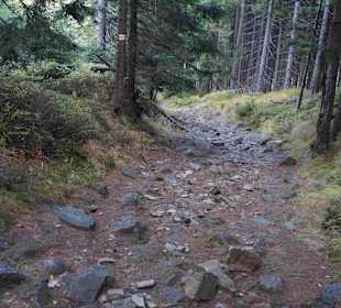 Riesengebirge/Karkonosze