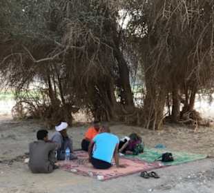 Wadi al Gamal (Kamelwüste)