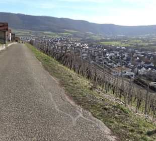 Weinerlebnisweg