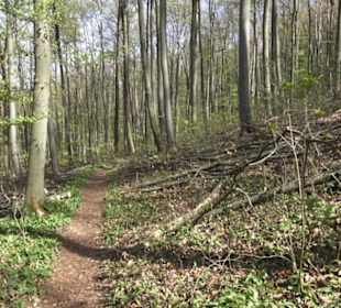 Wanderweg Hochgehkämpft