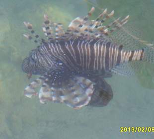 SUNRISE Grand Select Crystal Bay Resort