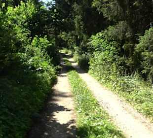 Burg Hölnstein Stetten u. Holstein
