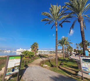 Strände San Antonio/San Antoni de Portmany