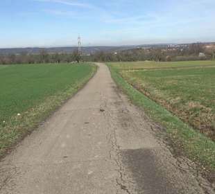Gomaringer Rundweg - Zu den Giganten im Wald